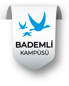 Bademli